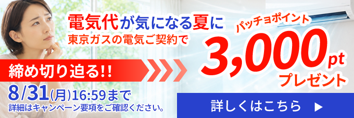 東京ガスの電気をご契約でパッチョポイントが3,000ポイントもらえるキャンペーンを実施中