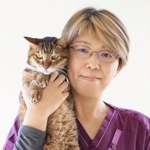 藤井和恵