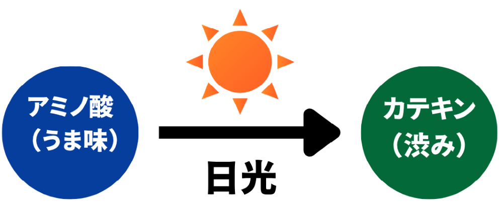 日光