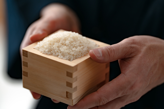 米 収穫 男性