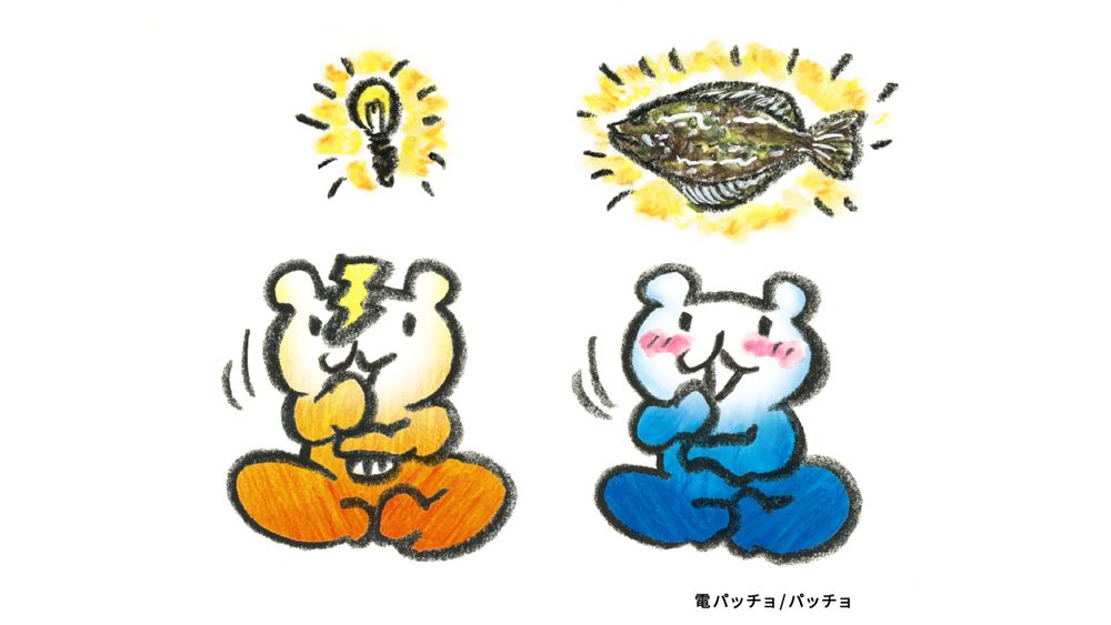 パッチョ