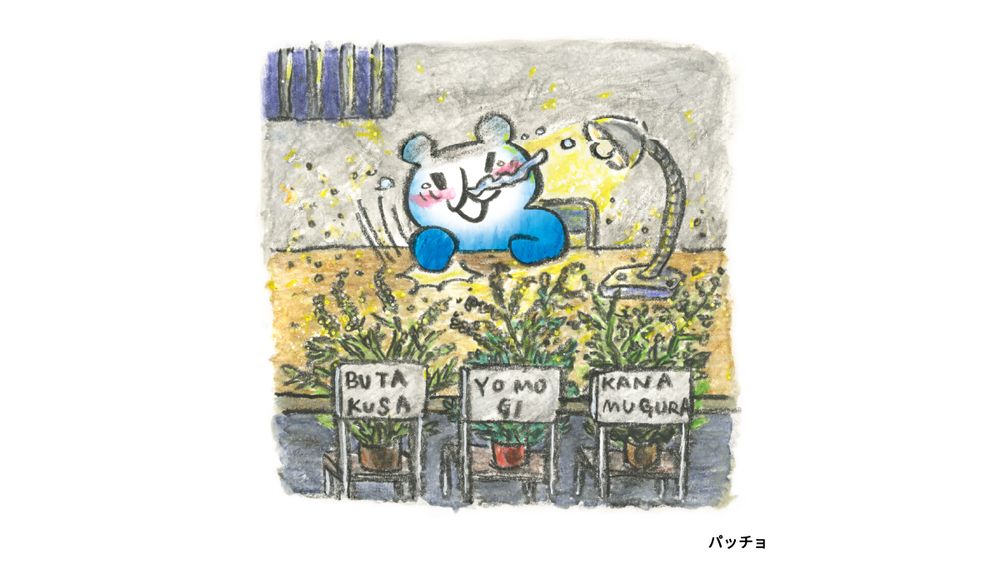 パッチョ