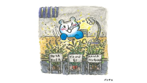 パッチョ