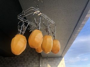 干し柿