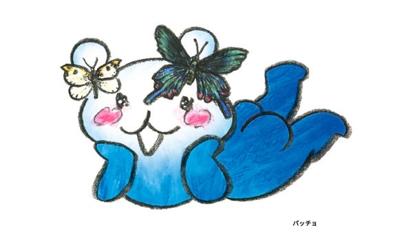 パッチョ