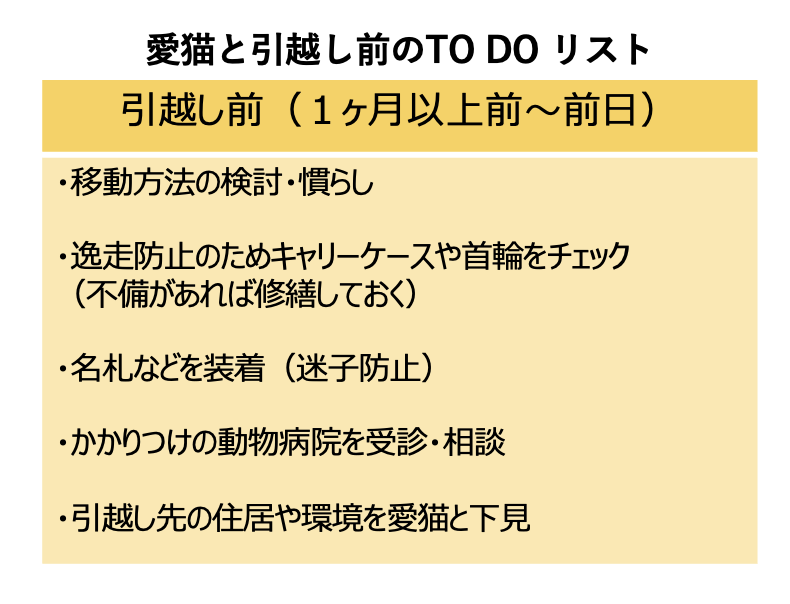 注意点と準備リスト