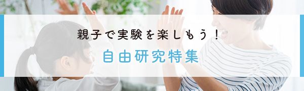 自由研究