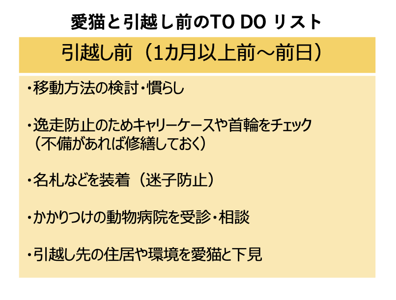 注意点と準備リスト