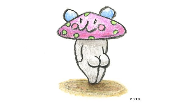 パッチョ