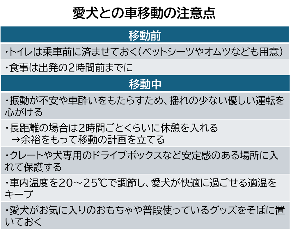 愛犬と車移動の注意点