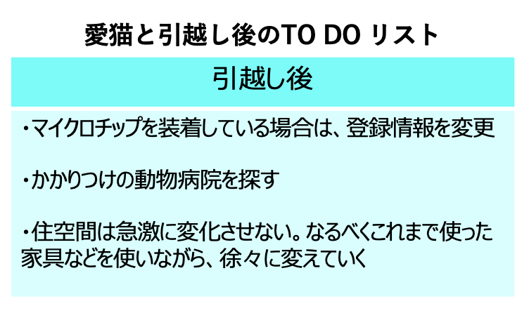 注意点と新生活への慣らし方