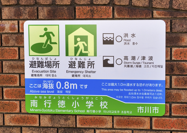 海抜表示 0.8m