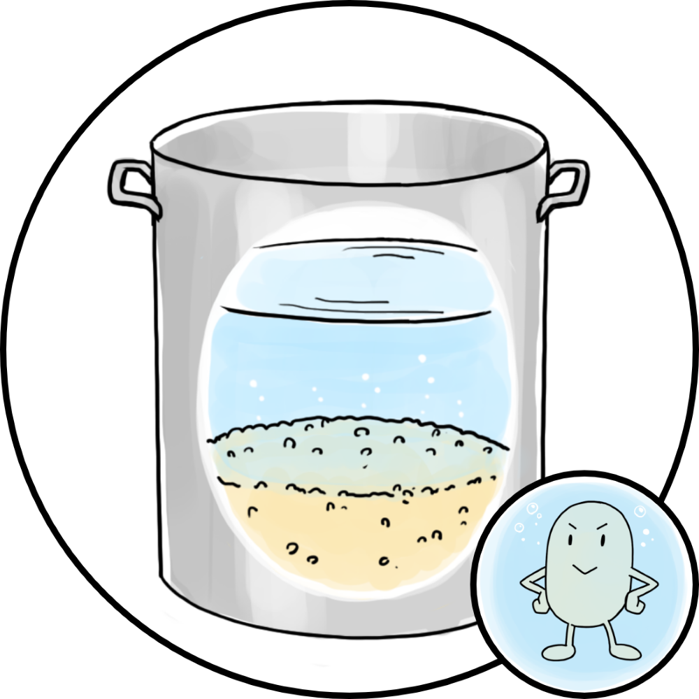 大豆を浸漬しているところ