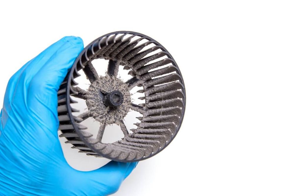 浴室乾燥機内部の掃除はどこまでできる？