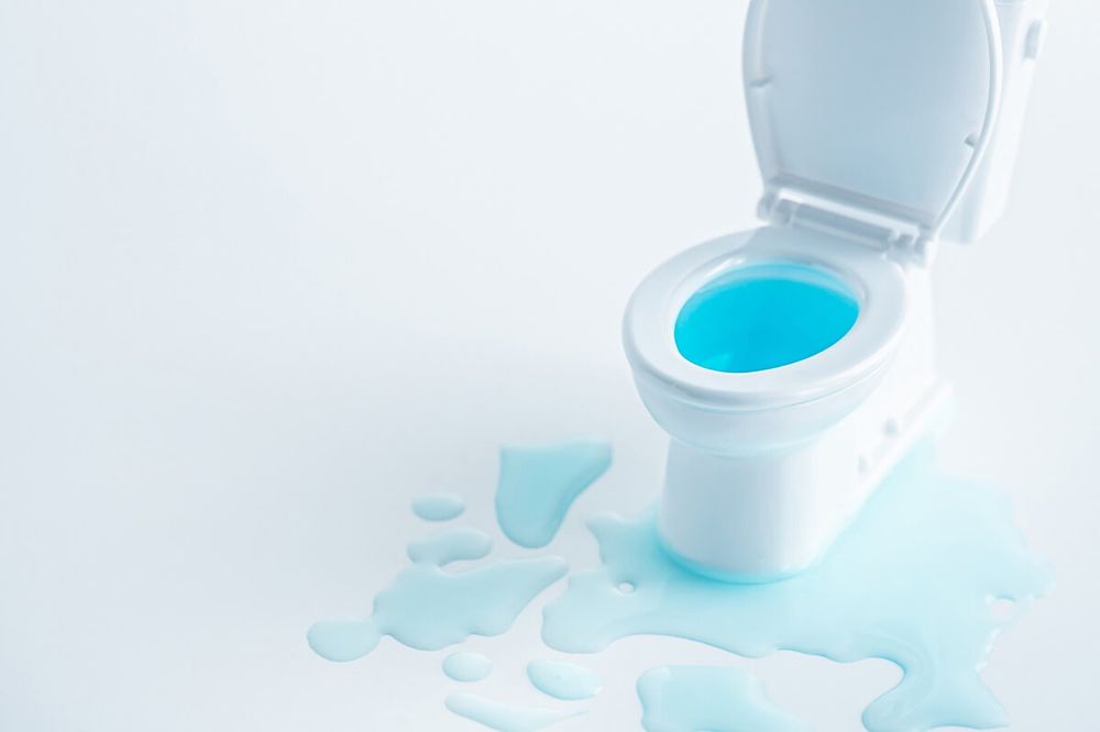 トイレの水漏れで床が濡れたらどうする？応急処置や原因の特定方法