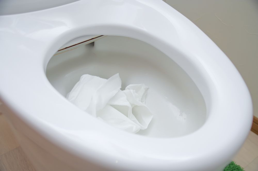 便器内のつまりと配管つまりの違い