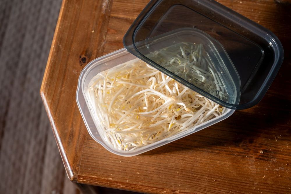 保存容器に水と一緒に保存されているもやし