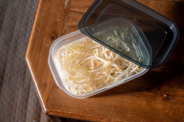 保存容器に水と一緒に保存されているもやし