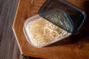 保存容器に水と一緒に保存されているもやし