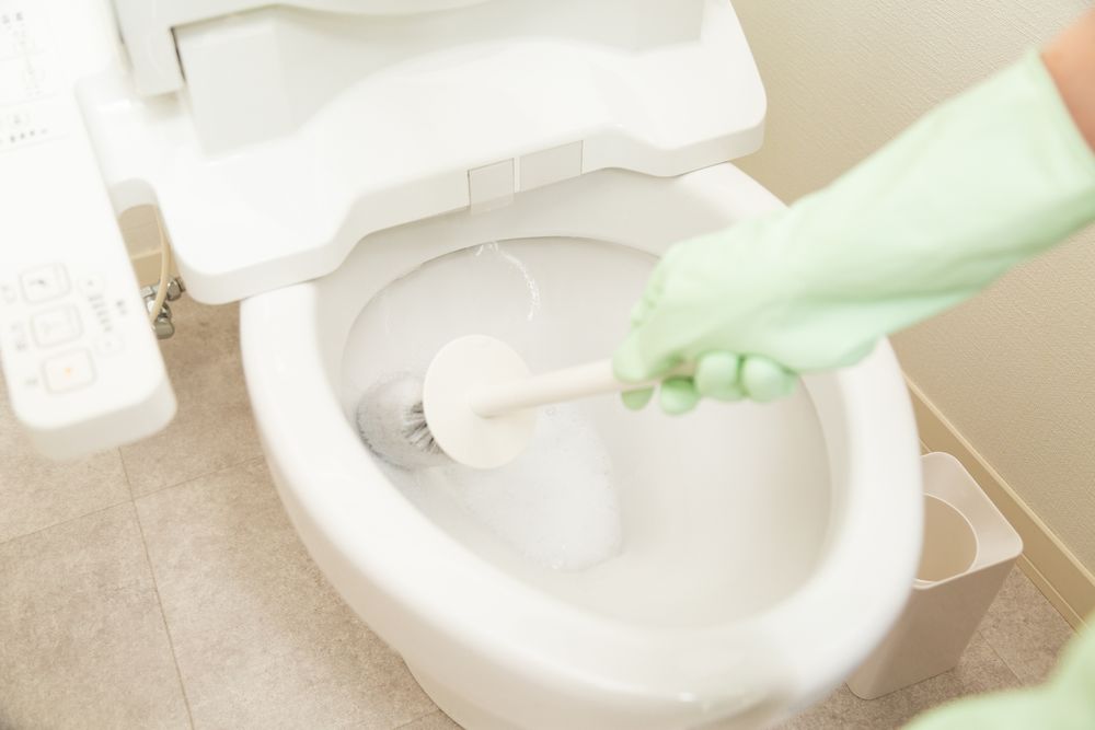 硬く固まった尿石は削り取りが必要