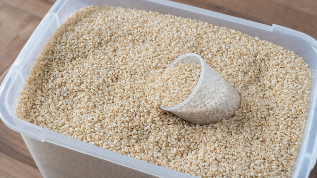玄米をプラスチックケースに保存する